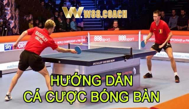 Hướng dẫn chơi cá cược bóng bàn hiệu quả 